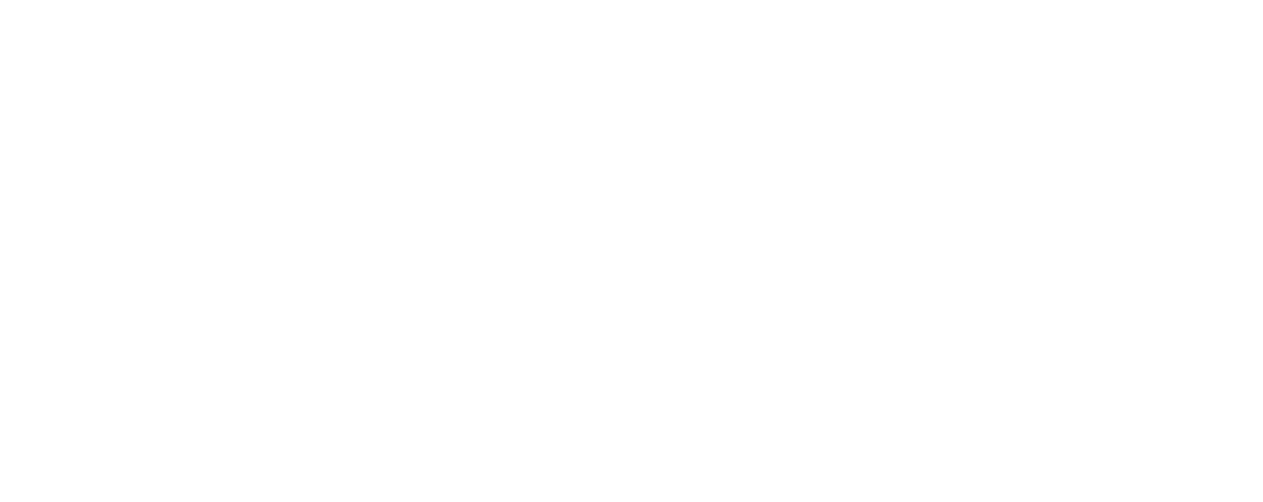 AccessPaln